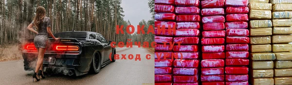 сатива Абдулино