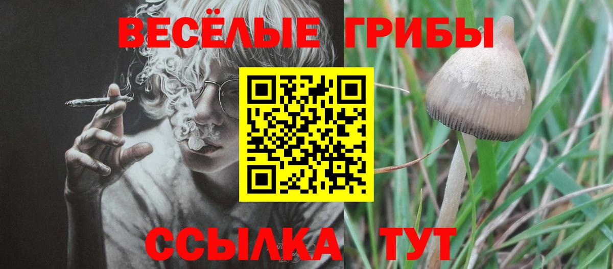 Миллерово  где купить   Вход с VPN  Псилоцибиновые грибы GOLDEN TEACHER  Галлюциногенные грибы Psilocybine cubensis 