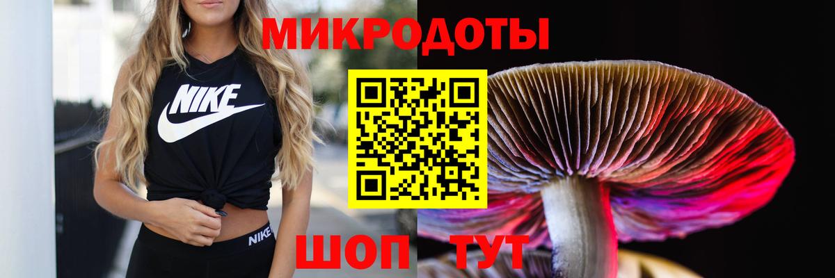 Псилоцибиновые грибы Psilocybine cubensis Миллерово